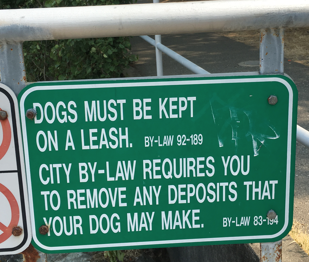 "remove any deposits that your dog may make"